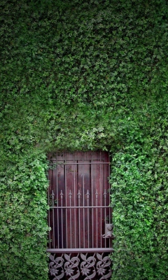 Green Wall And Secret Door wallpaper 240x400