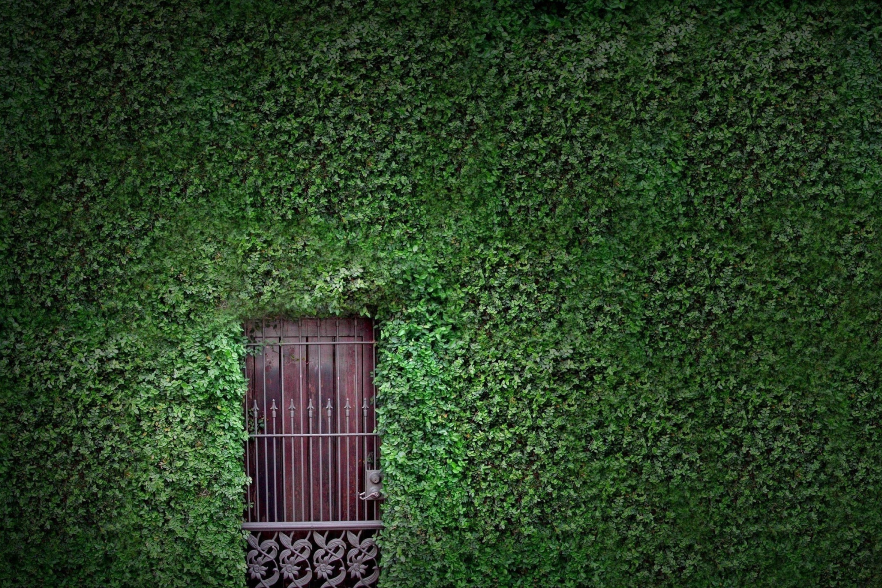 Green Wall And Secret Door wallpaper 2880x1920