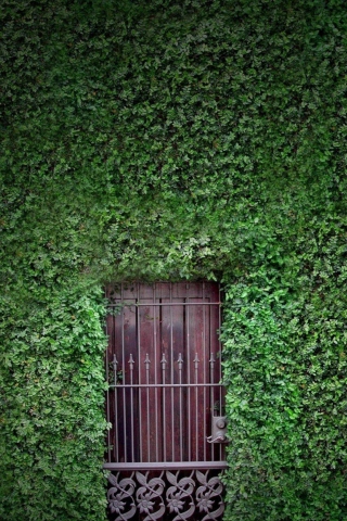 Fondo de pantalla Green Wall And Secret Door 320x480