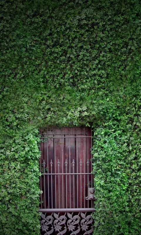 Обои Green Wall And Secret Door 480x800