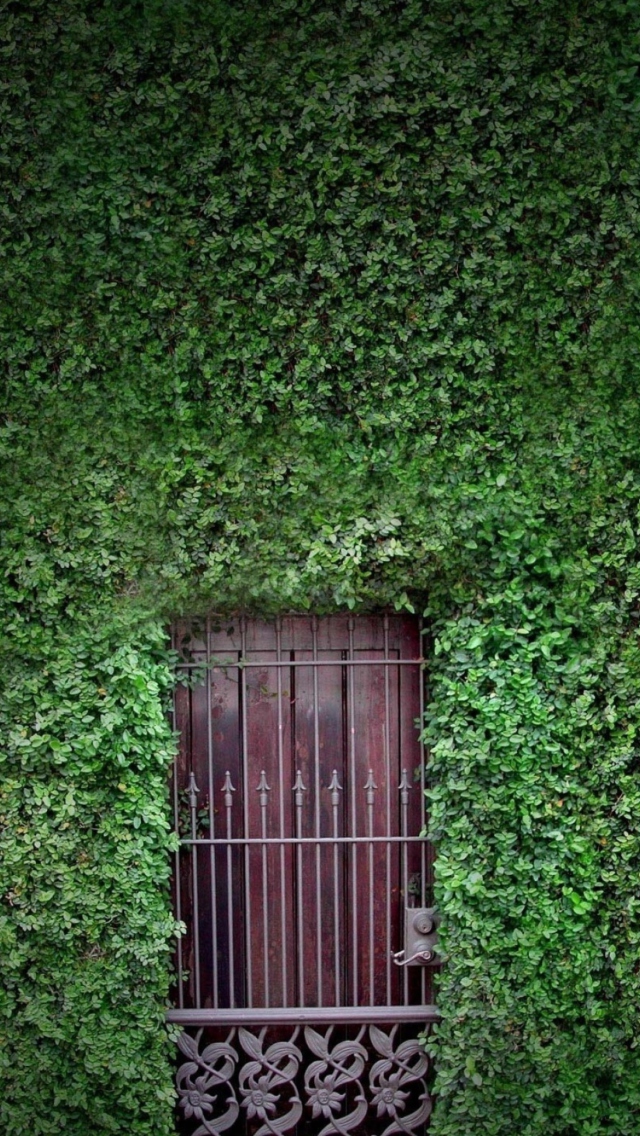 Green Wall And Secret Door wallpaper 640x1136