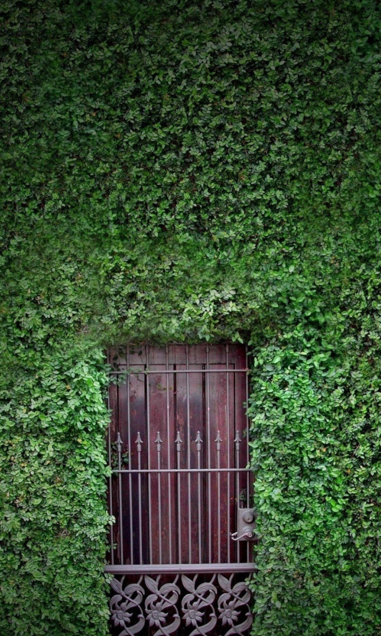 Green Wall And Secret Door wallpaper 768x1280