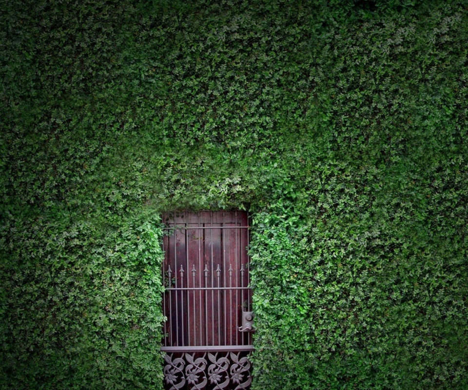 Green Wall And Secret Door wallpaper 960x800
