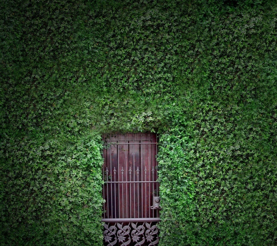 Green Wall And Secret Door wallpaper 960x854