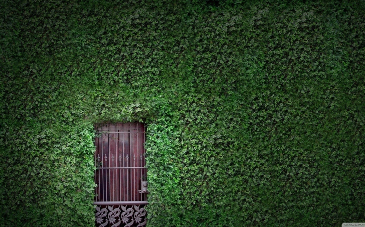 Green Wall And Secret Door wallpaper
