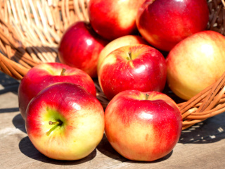 Das Autumn Apples Wallpaper 320x240