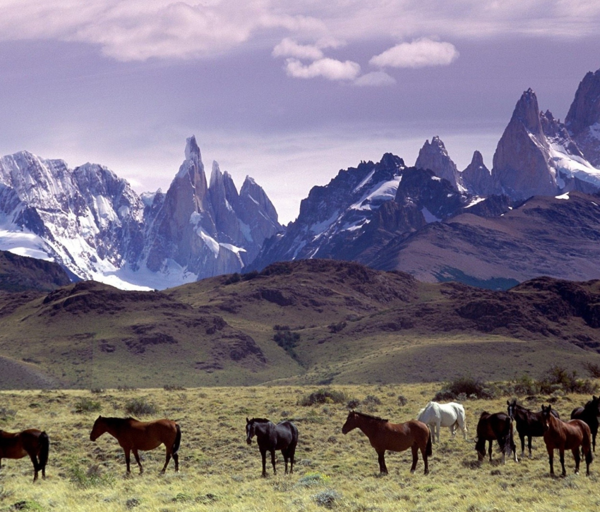 Fondo de pantalla Mountains Scenery & Horses 1200x1024