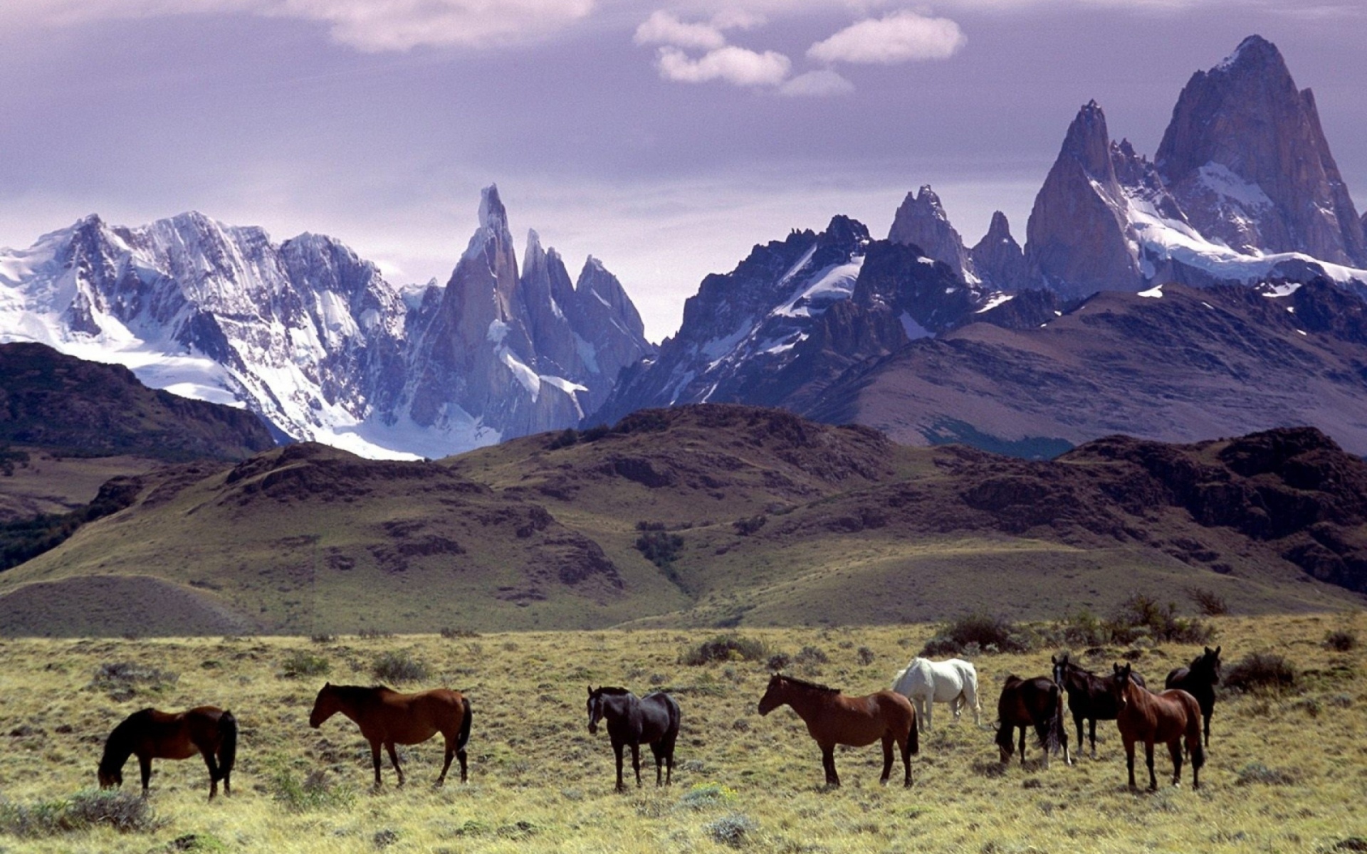 Screenshot №1 pro téma Mountains Scenery & Horses 1920x1200