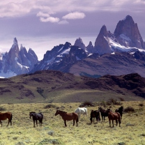 Screenshot №1 pro téma Mountains Scenery & Horses 208x208