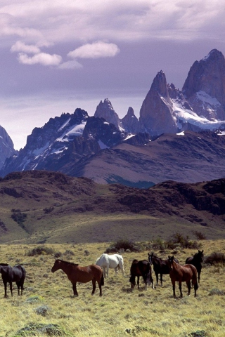 Screenshot №1 pro téma Mountains Scenery & Horses 320x480