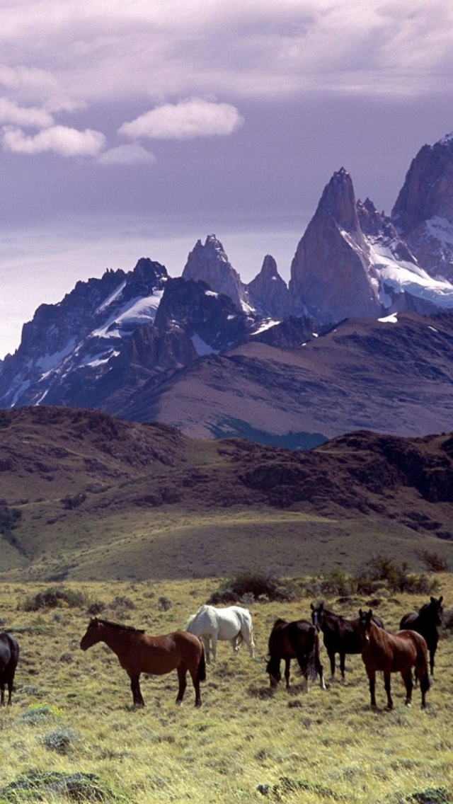 Screenshot №1 pro téma Mountains Scenery & Horses 640x1136