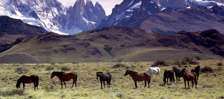 Mountains Scenery & Horses wallpaper 720x320