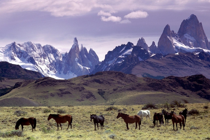 Fondo de pantalla Mountains Scenery & Horses
