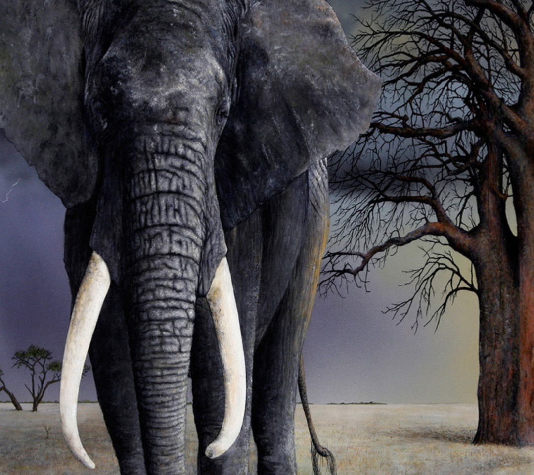 Elephant wallpaper 1080x960