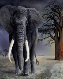 Fondo de pantalla Elephant 128x160