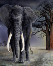 Das Elephant Wallpaper 176x220