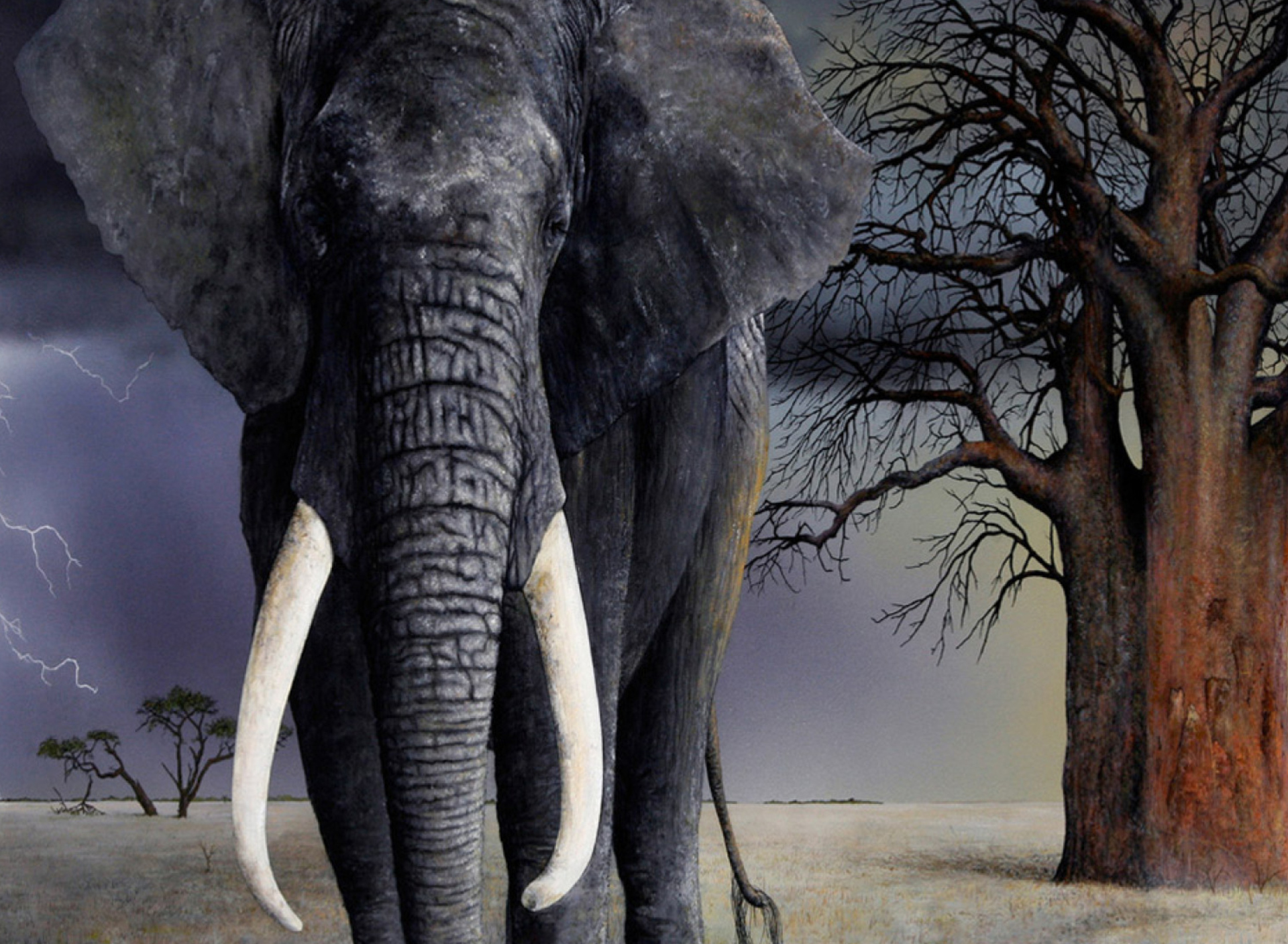 Elephant screenshot #1 1920x1408