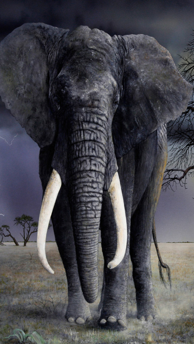 Das Elephant Wallpaper 640x1136