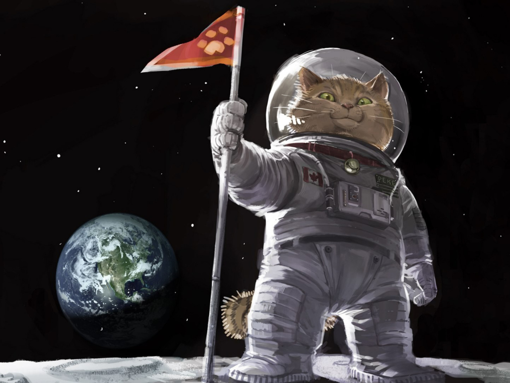 Cat Space Invader wallpaper 1024x768
