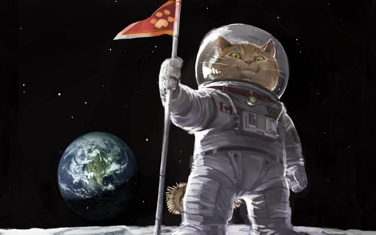 Cat Space Invader wallpaper 1280x800