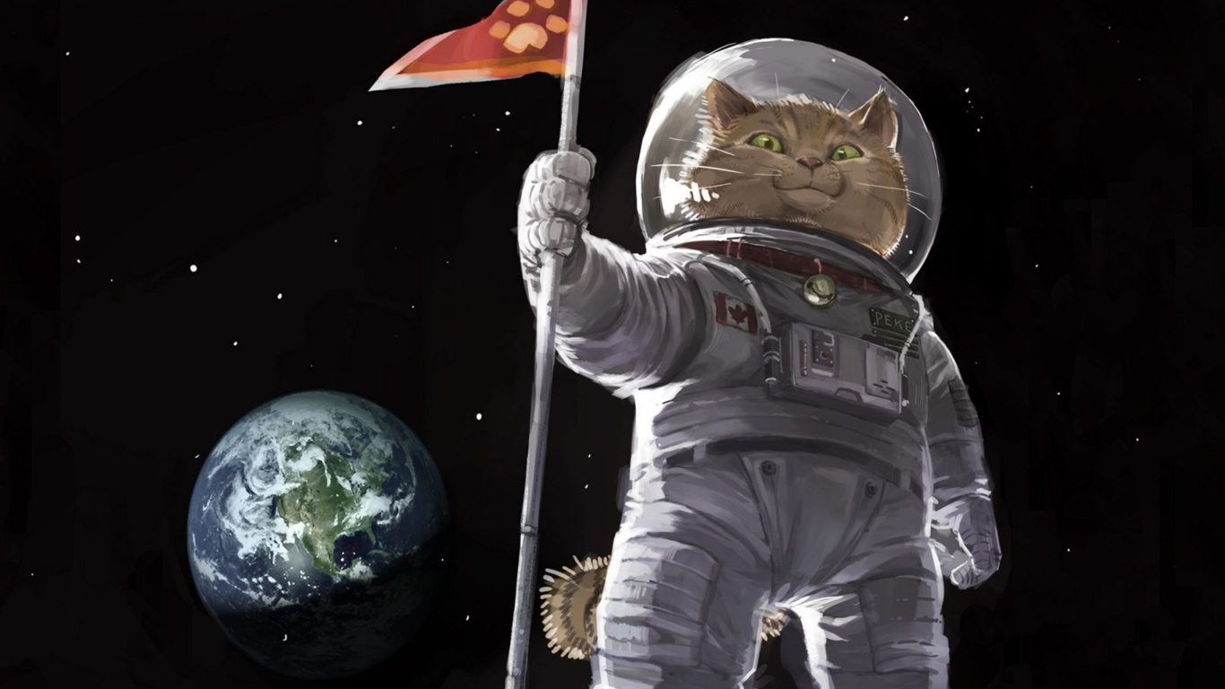 Cat Space Invader wallpaper 1366x768