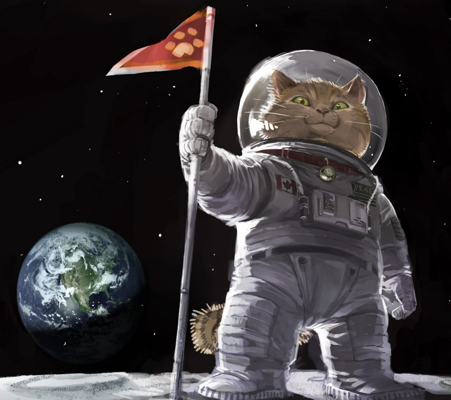 Cat Space Invader wallpaper 1440x1280