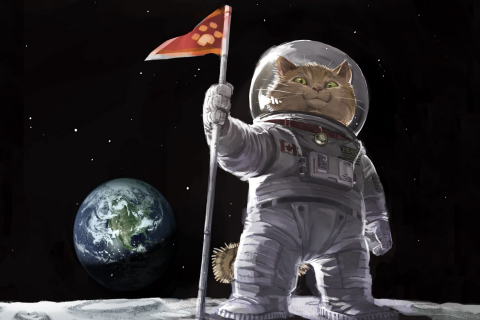Cat Space Invader wallpaper 480x320