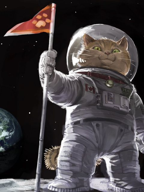 Fondo de pantalla Cat Space Invader 480x640