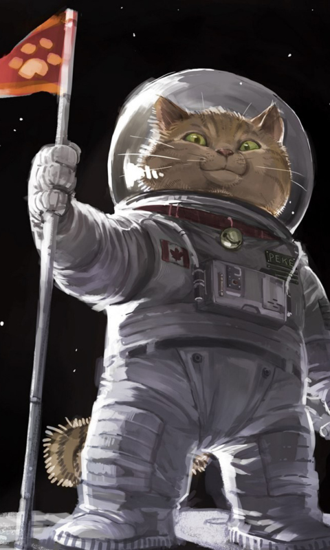 Cat Space Invader wallpaper 480x800