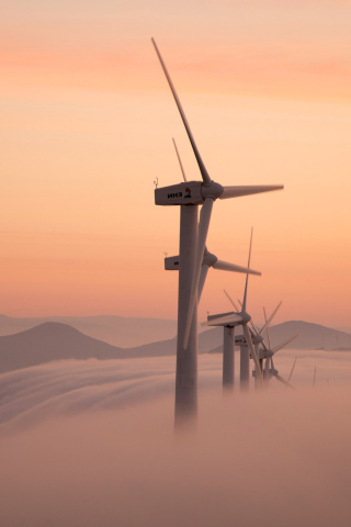 Sfondi Dutch Wind power Mills for electricity 320x480