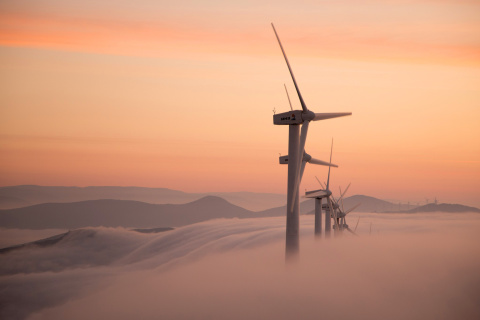 Dutch Wind power Mills for electricity screenshot #1 480x320