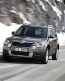 Das Skoda Yeti Wallpaper 128x160