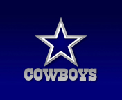 Screenshot №1 pro téma Dallas Cowboys Blue Star 176x144