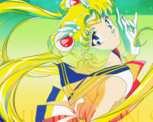 Das Sailor Moon Wallpaper 220x176
