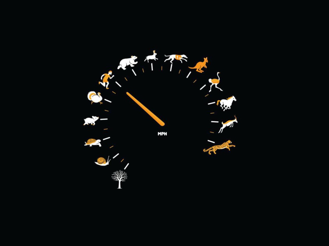 Das Funny Speedometer Mph Wallpaper 1152x864