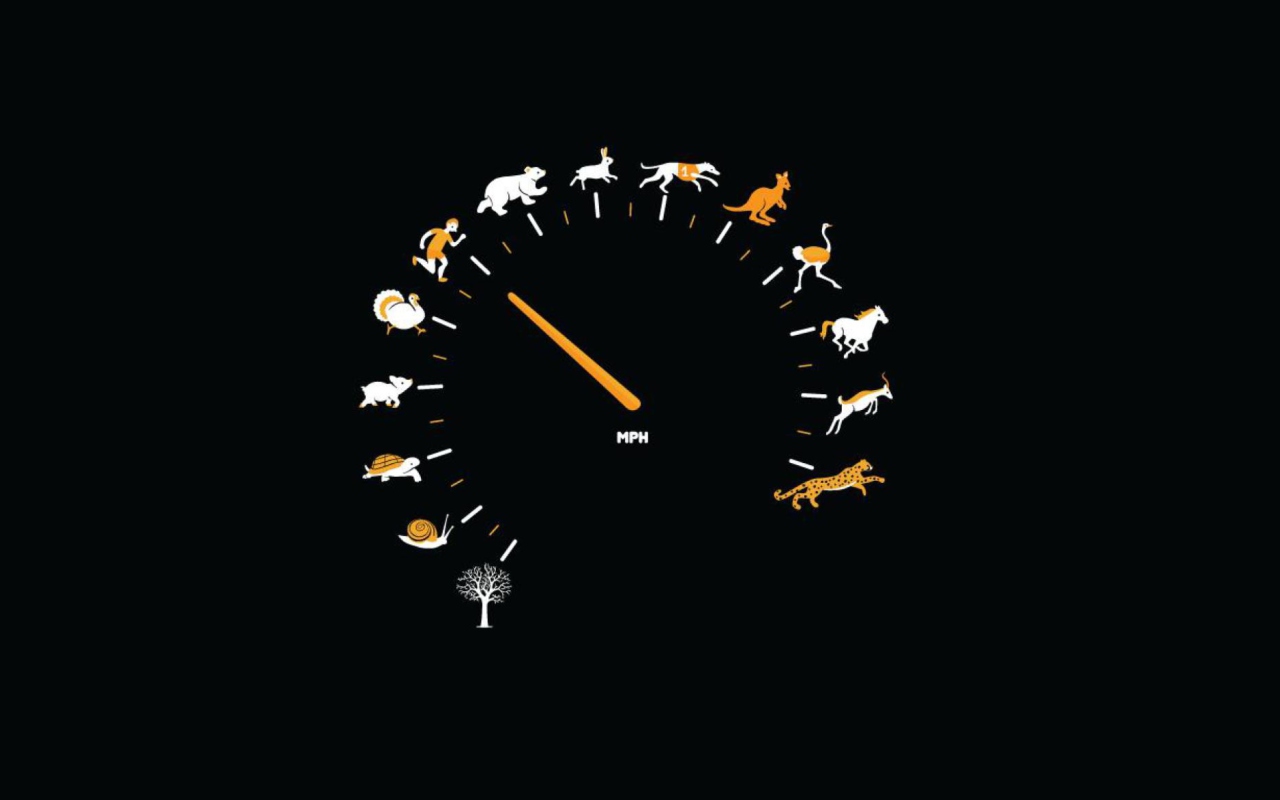 Das Funny Speedometer Mph Wallpaper 1280x800