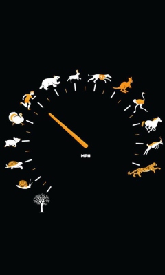 Das Funny Speedometer Mph Wallpaper 240x400