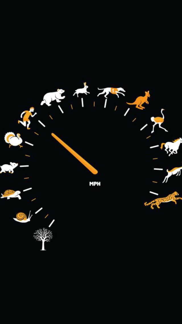 Sfondi Funny Speedometer Mph 640x1136