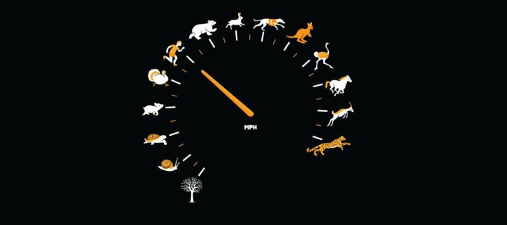 Das Funny Speedometer Mph Wallpaper 720x320