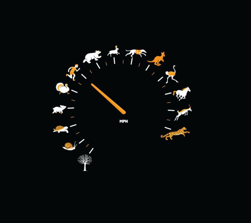 Das Funny Speedometer Mph Wallpaper 960x854