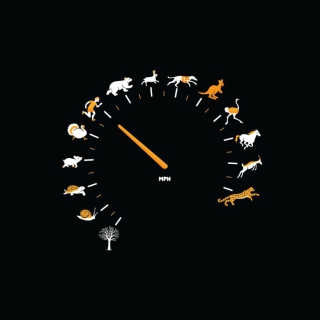 Funny Speedometer Mph - Obrázkek zdarma pro 208x208