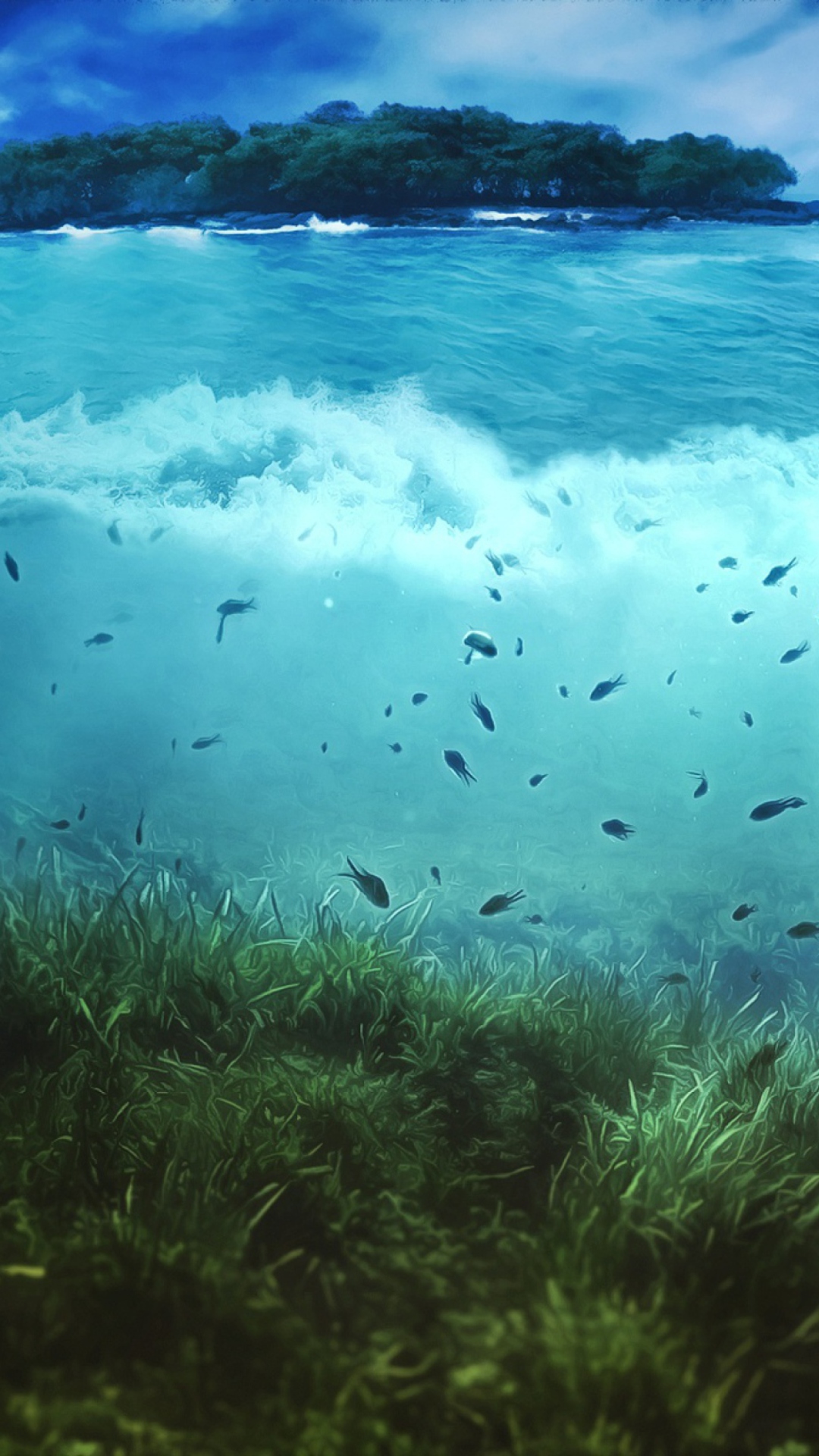 Aquatic Life wallpaper 1080x1920