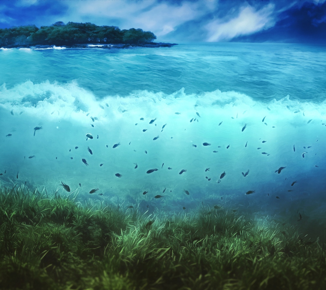 Aquatic Life wallpaper 1080x960