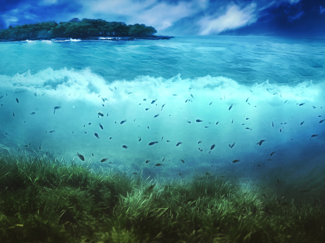 Fondo de pantalla Aquatic Life 1280x960