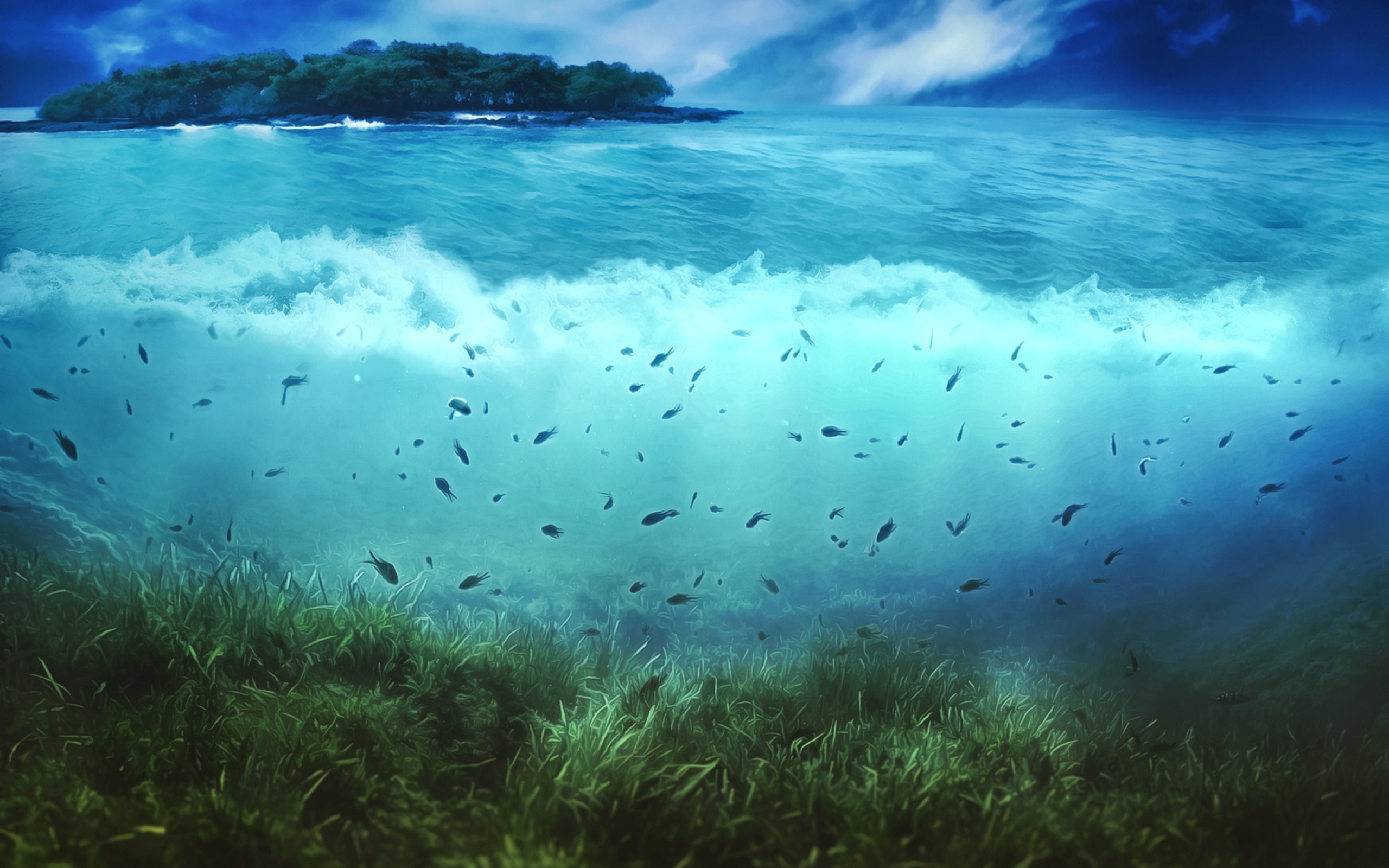 Aquatic Life wallpaper 2560x1600