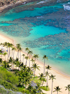 Oahu Hawaii wallpaper 240x320