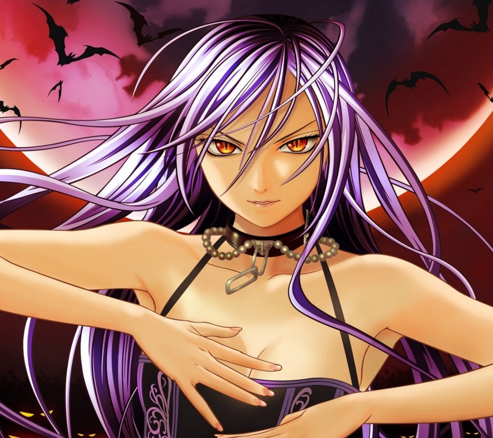 Обои Rosario plus Vampire 960x854