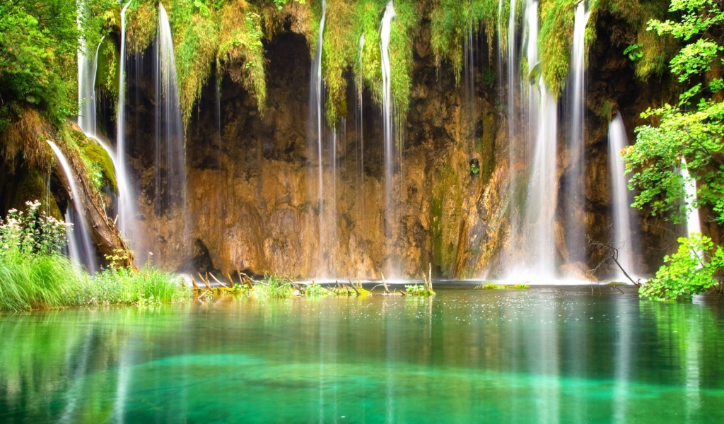 Sfondi Jungle Waterfall 1024x600