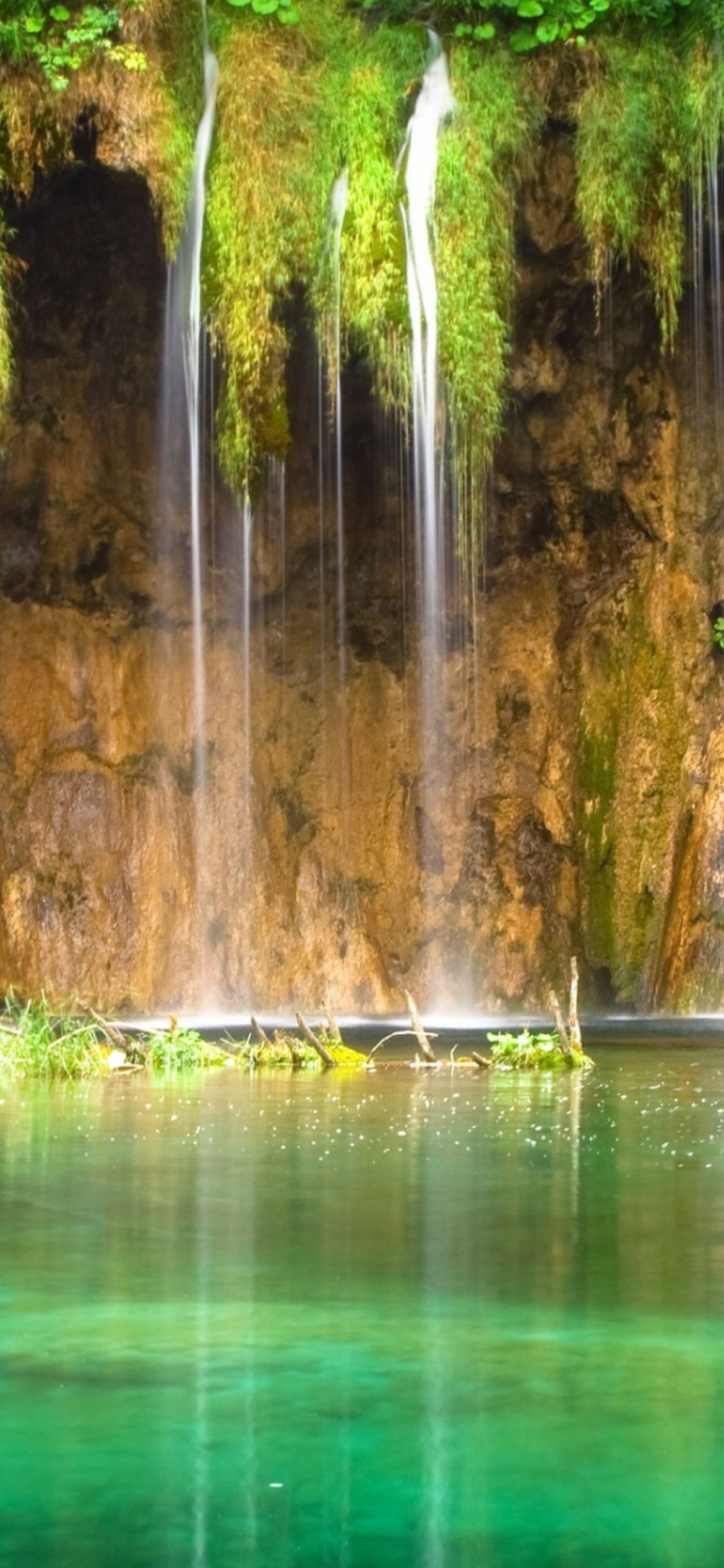 Fondo de pantalla Jungle Waterfall 1170x2532