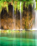 Jungle Waterfall screenshot #1 128x160